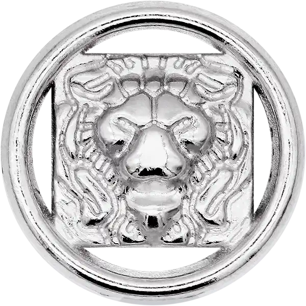  BLZ54 - Lion Figure Metal Sewing Button