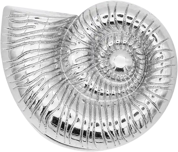  BLZ121 - Snail Shaped Button